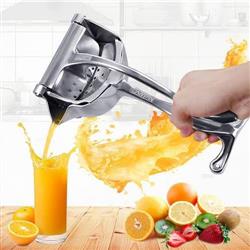 Fruit press