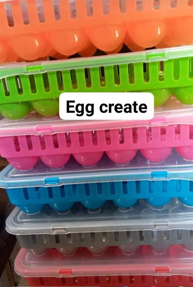 Plastic Strong Egg Create