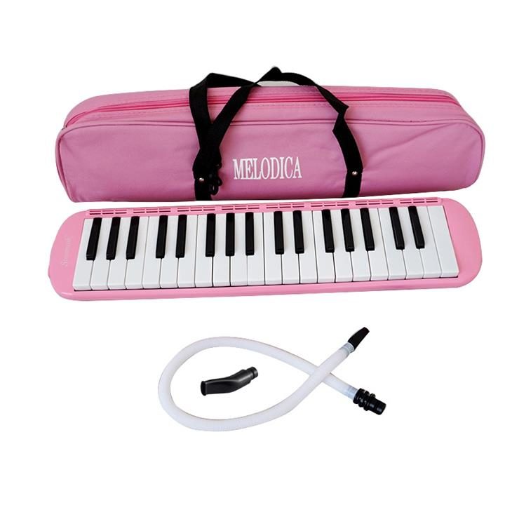 Quality Soft bag melodeon