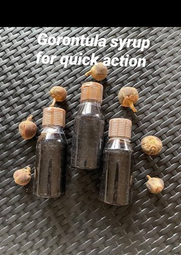 Gorontula fruits and sryrup