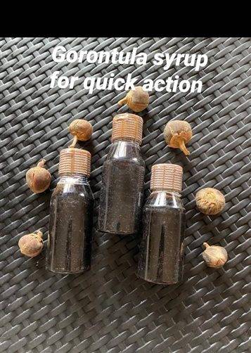 Gorontula fruits and sryrup