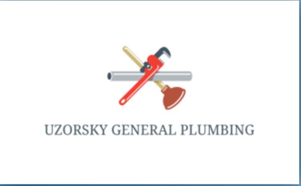 Professional plumber