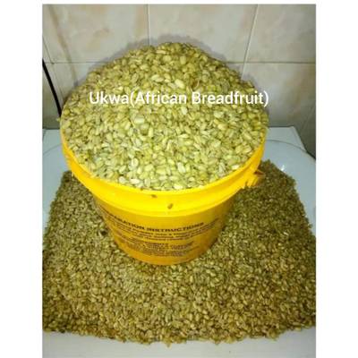 Ukwa (African breadfruit)