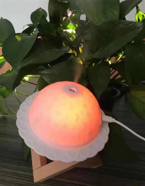 3D moon humidifier lamb