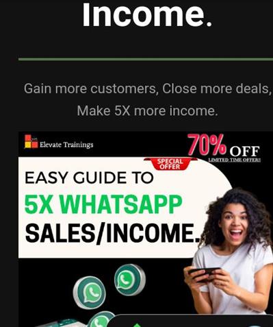 WhatsApp Marketing Guide