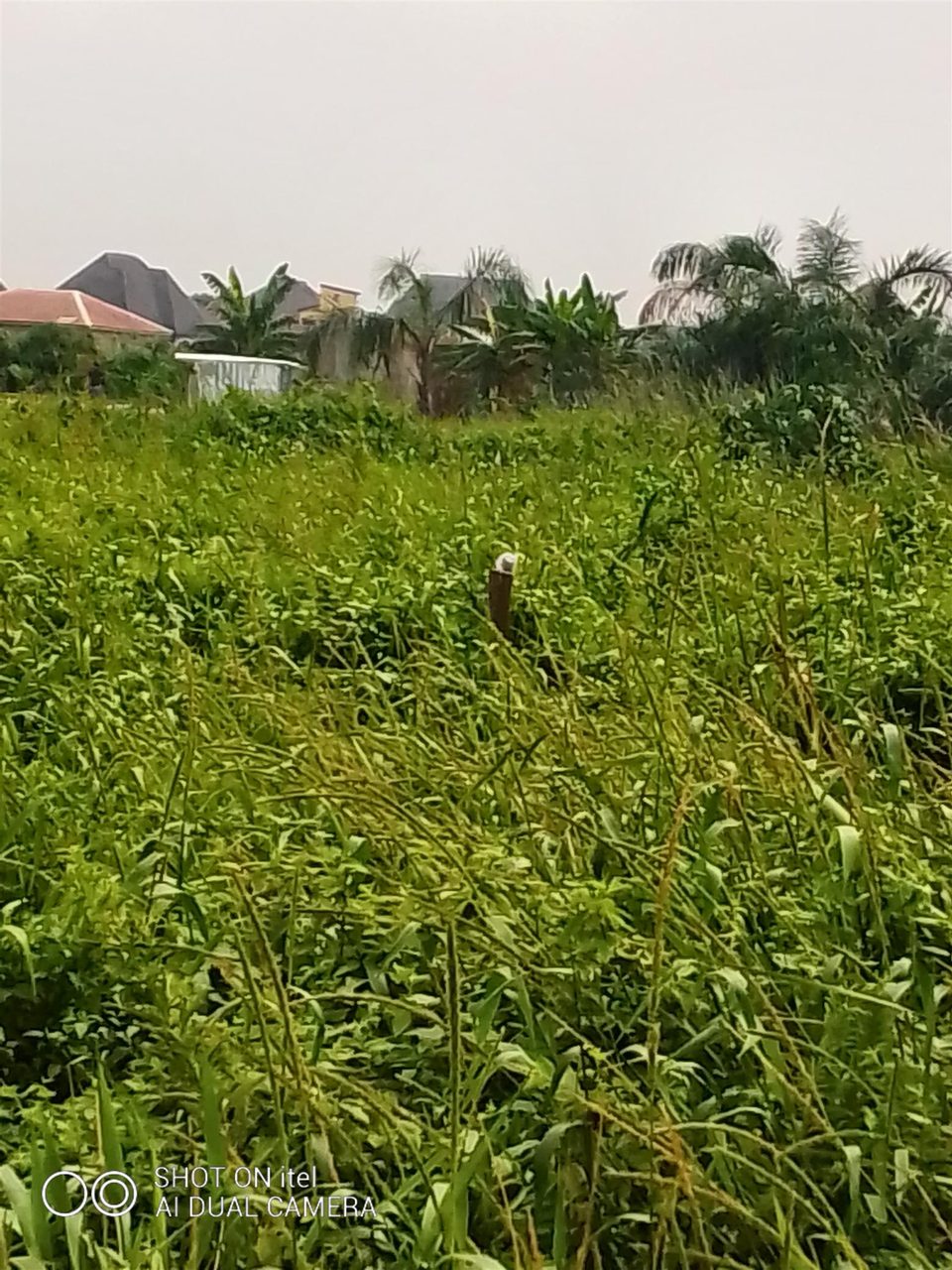 PLOTS OF LAND FOR SALE