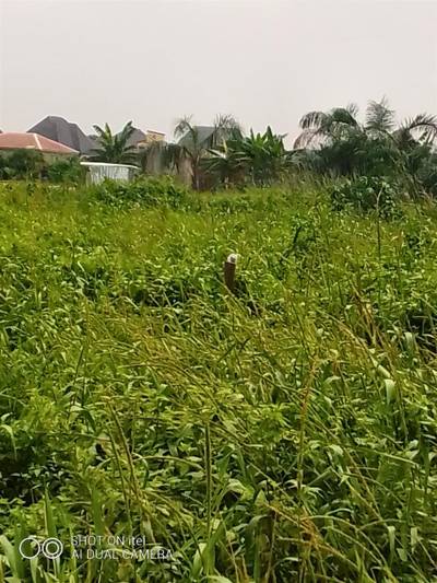 PLOTS OF LAND FOR SALE