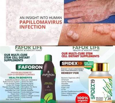 Faforon stemcell