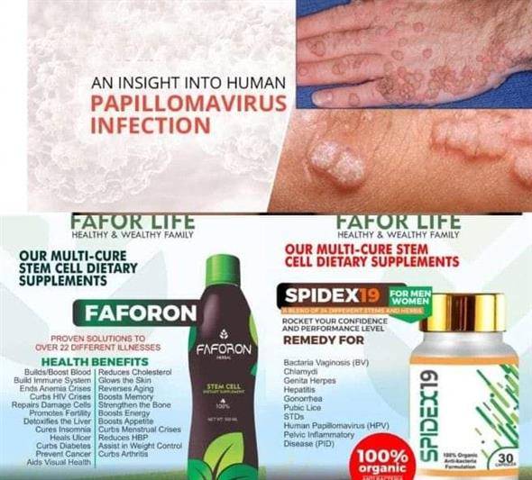 Faforon stemcell