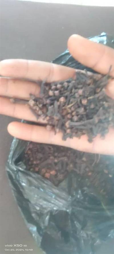 Cloves (kanen feri)