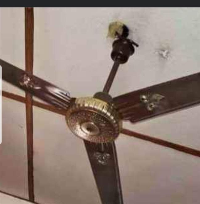 Cieling fan