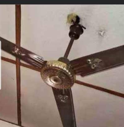 Cieling fan