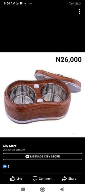 Twin food flask