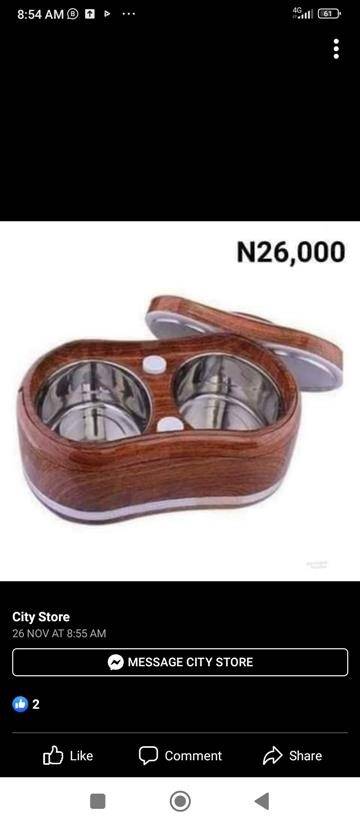 Twin food flask