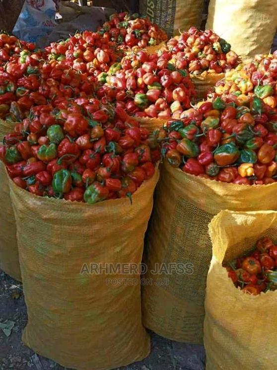 Pepper (rodo)
