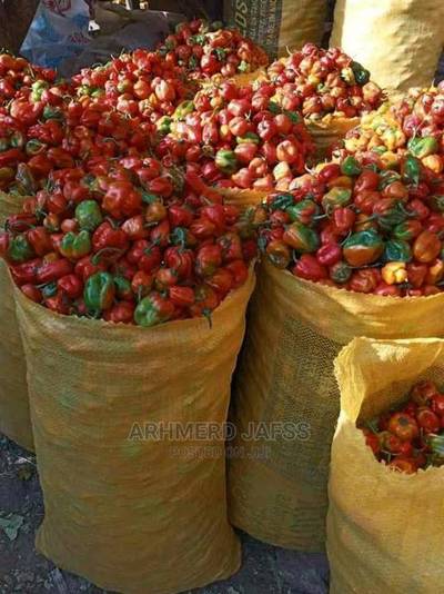 Pepper (rodo)