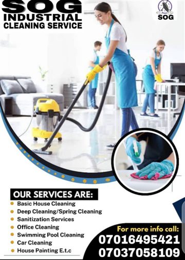 PROFESSIONAL HOME CLEANING SERVICES