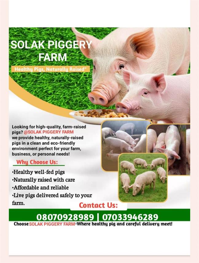 SOLAK PIGGERY FARM