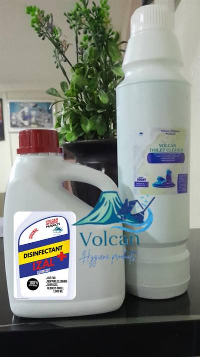 Toilet cleaner and izal