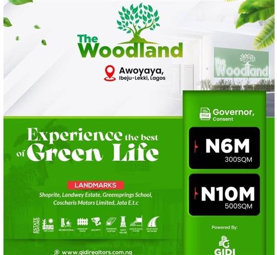 The Woodland Awoyaya