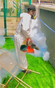 Fumigation and Pest control service