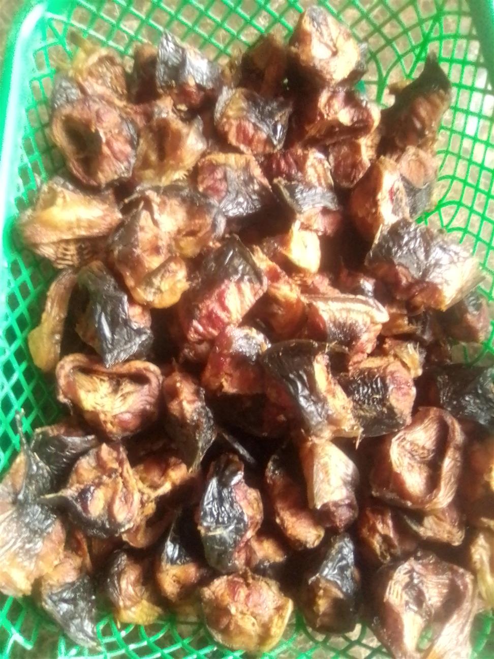 Eagle Fish(Catfish)