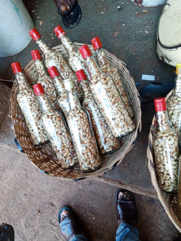Fresh Nsukka Cashew Nut