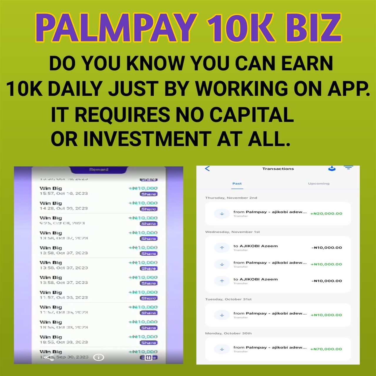 PALMPAY 10K DAILY BUSINESS