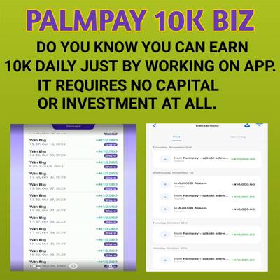 PALMPAY 10K DAILY BUSINESS