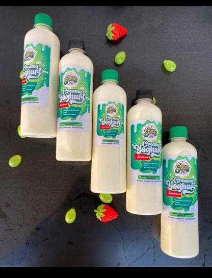 Regular Creamy yogurt