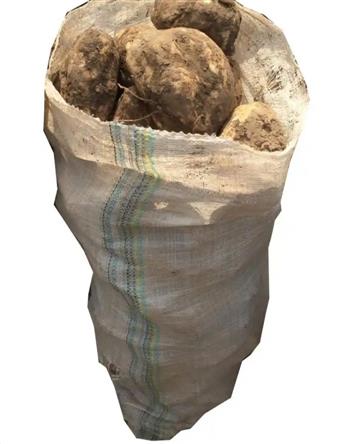 Sweet potatoes