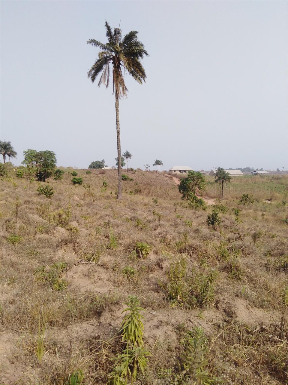 Plots of Land for Sale