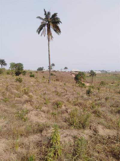 Plots of Land for Sale