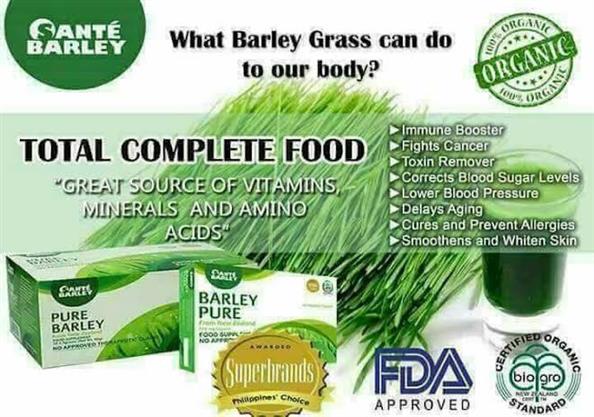 Sante Barley Powder