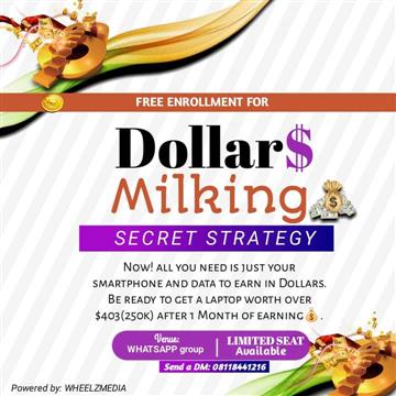 SECRET STRATEGY ON EARNING IN DOLLARS