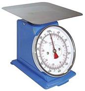 Analog scale