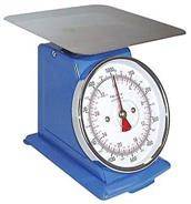 Analog scale