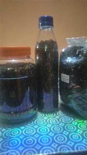 BLACK PEPPER