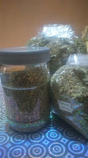 FENNEL SEEDS