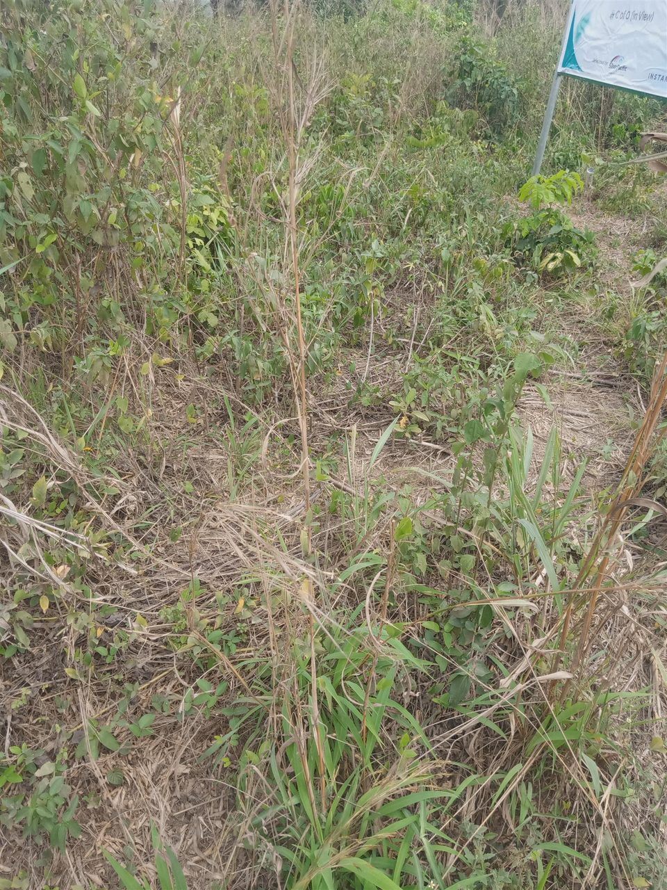 10 Plots Of Land For Sale In Elerenigbe