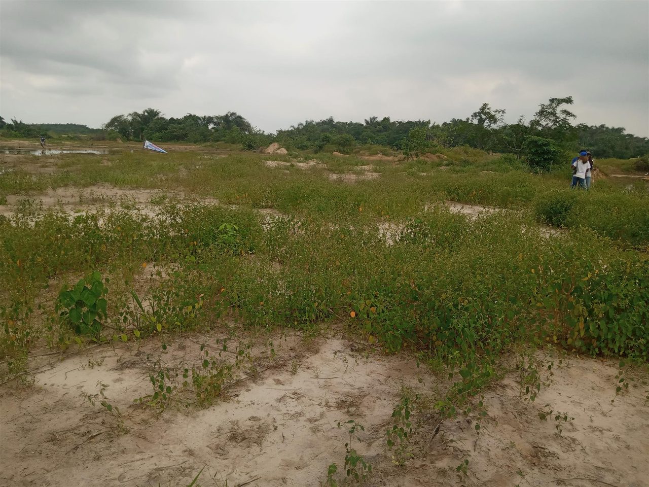 Land For Sale In Lakowe Ibeju-lekki