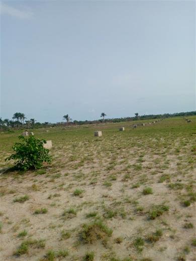 Deed and survey