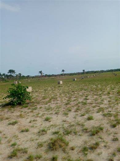 Deed and survey