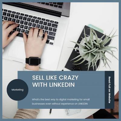 SELL LIKE CRAZY WITH LINKEDIN