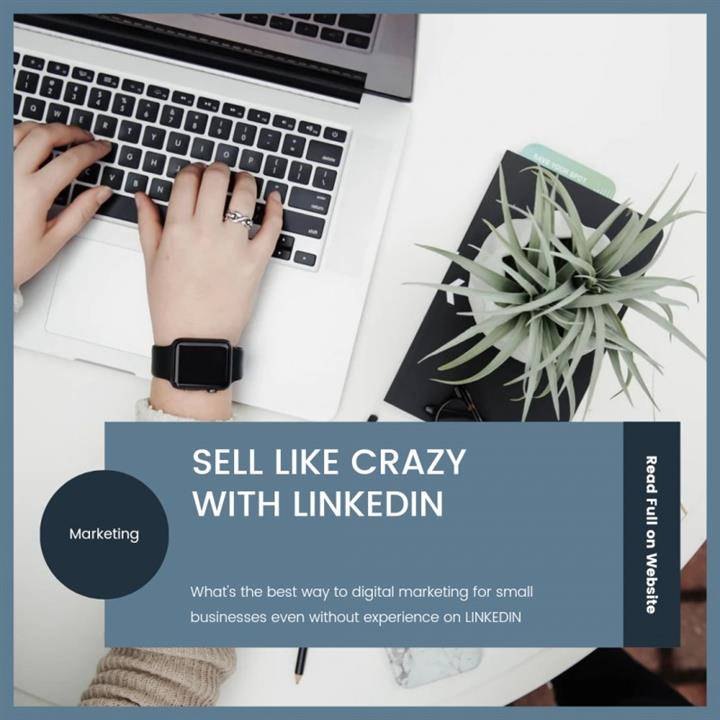 SELL LIKE CRAZY WITH LINKEDIN