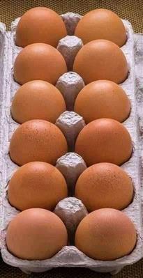 Very fresh Eggs per crate