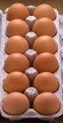 Very fresh Eggs per crate