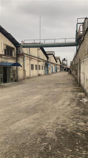 MASSIVE WAREHOUSE