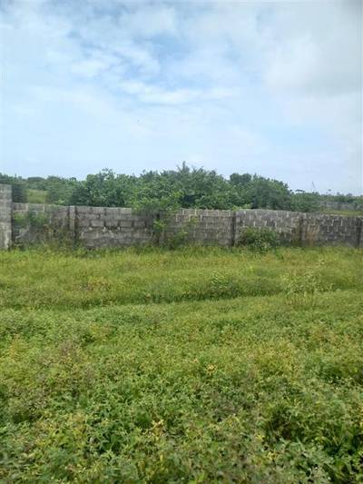 5 Hectares Of Land FOR SALE