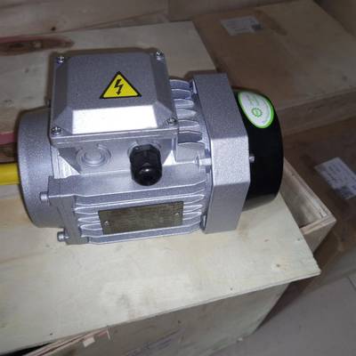 Electric motor